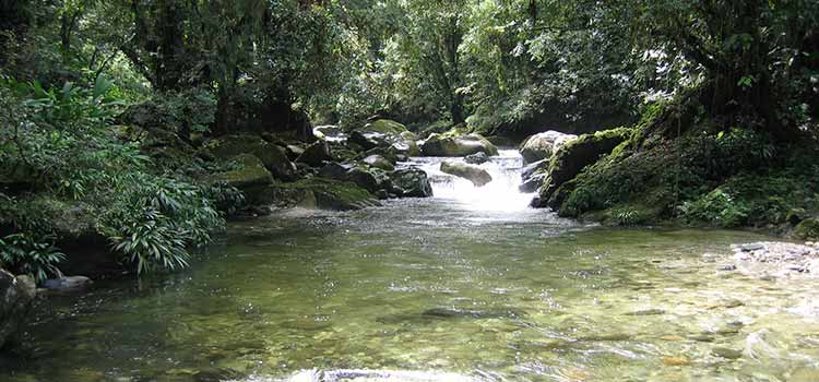 rio-perdido.jpg