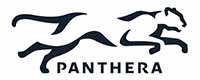 Panthera