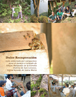 Dulce recuperación, guía para el manejo y cuidado de Abejas